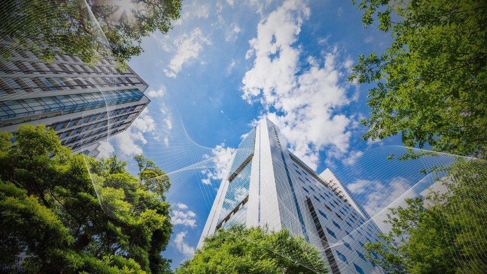 Regen Network Development PBC